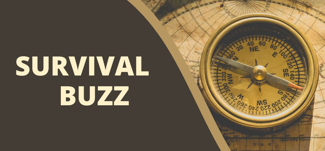 Survival Buzz